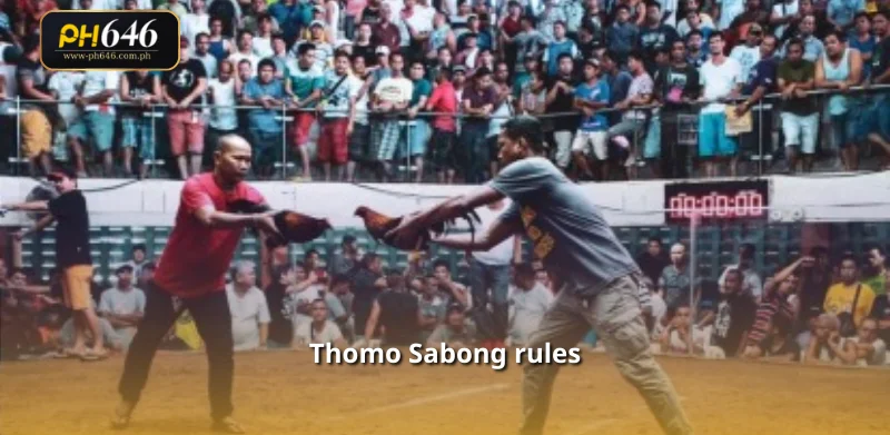 Thomo Sabong rules