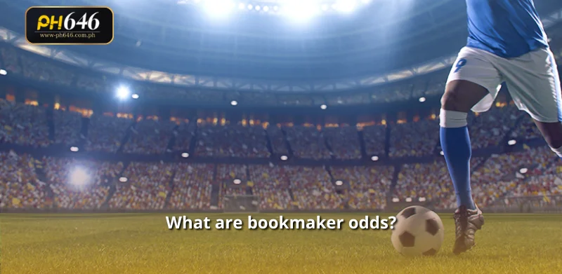 What are bookmaker odds?