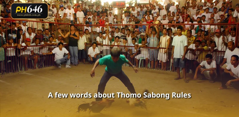 A few words about Thomo Sabong Rules