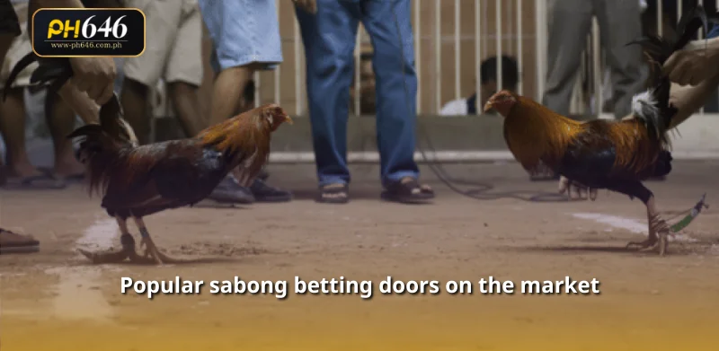 Popular sabong betting doors on the market